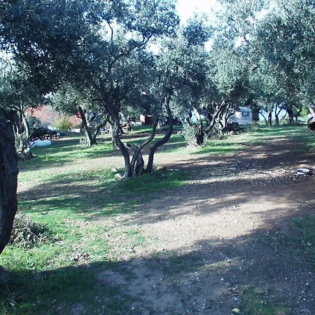 And By The Sea Zuljana, Peljesac - 256 Affittacamere